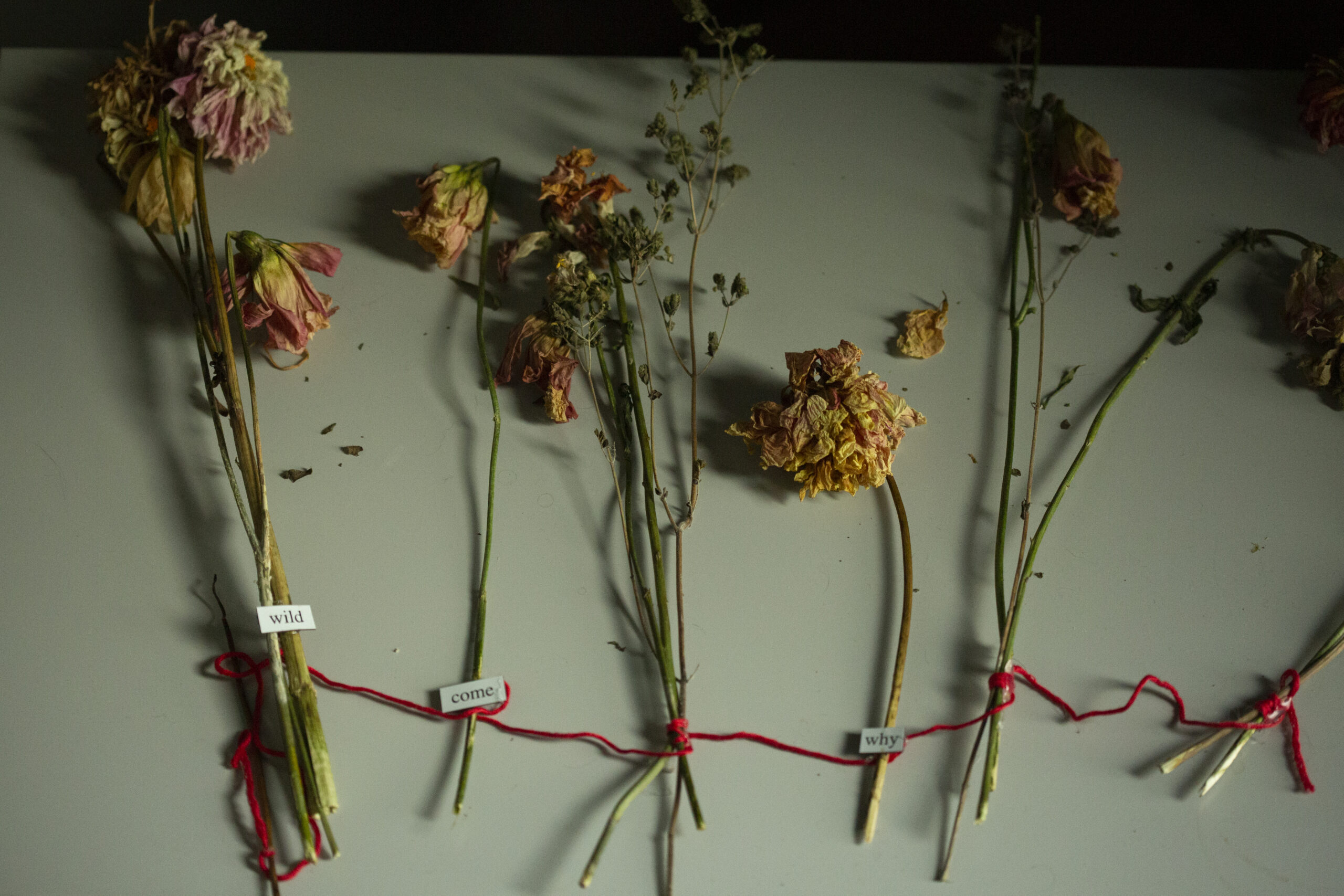 flowerwhole